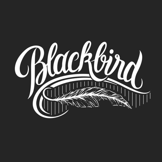 Profile picture of Blackbird Studios Profile picture of Blackbird Studios
